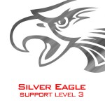 Level 3 The Silver Eagle